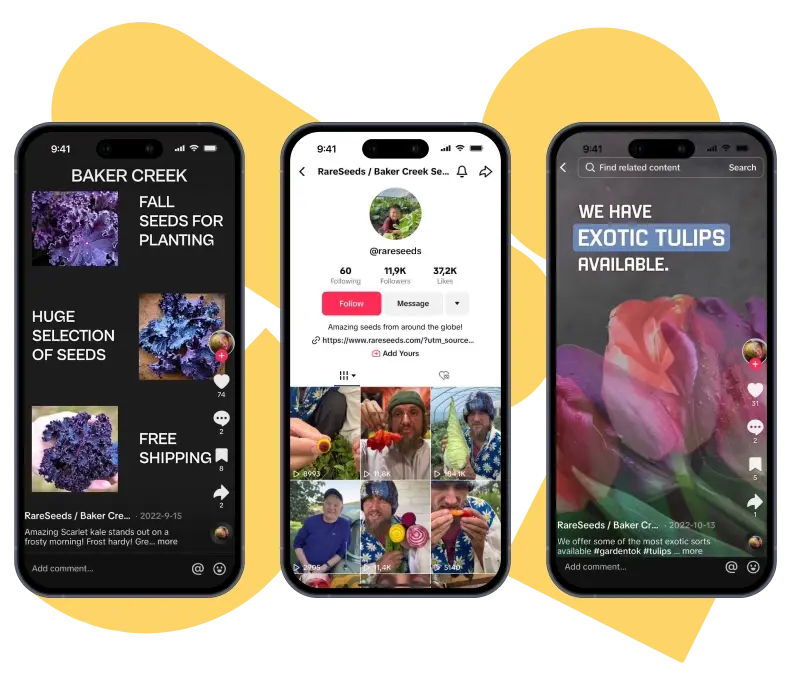 TikTok Ads management